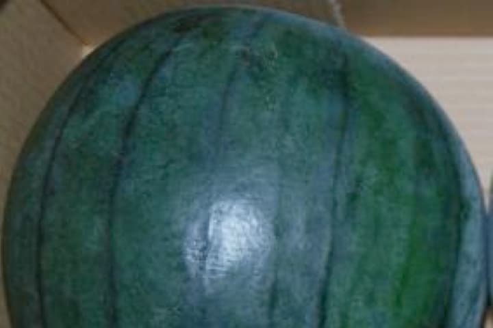 Imagen de sandia