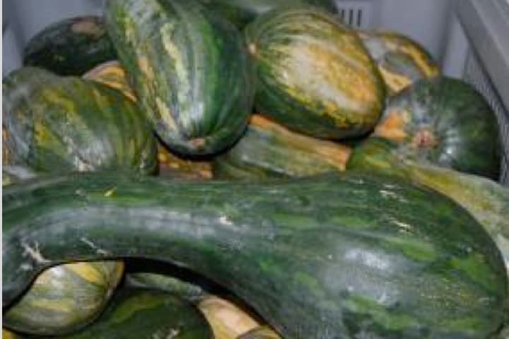 Imagen de calabaza