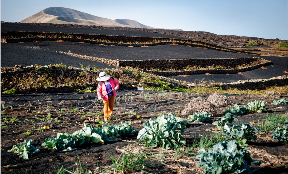 Imagen de agricultora